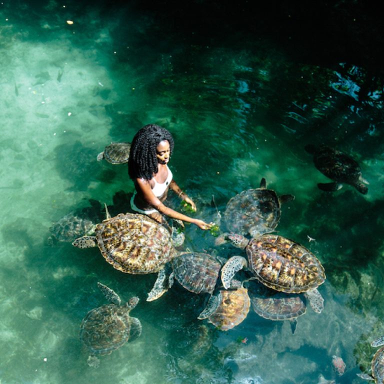 Exploring Zanzibar’s Baraka Natural Aquarium: A Haven for Sea Turtles
